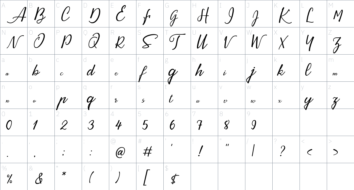 Ayrton Pight Font font Character Map