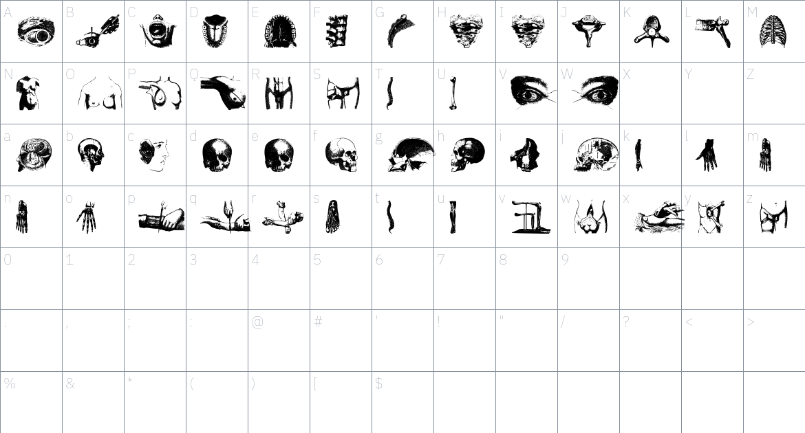 AnatomiaDigbats font Character Map