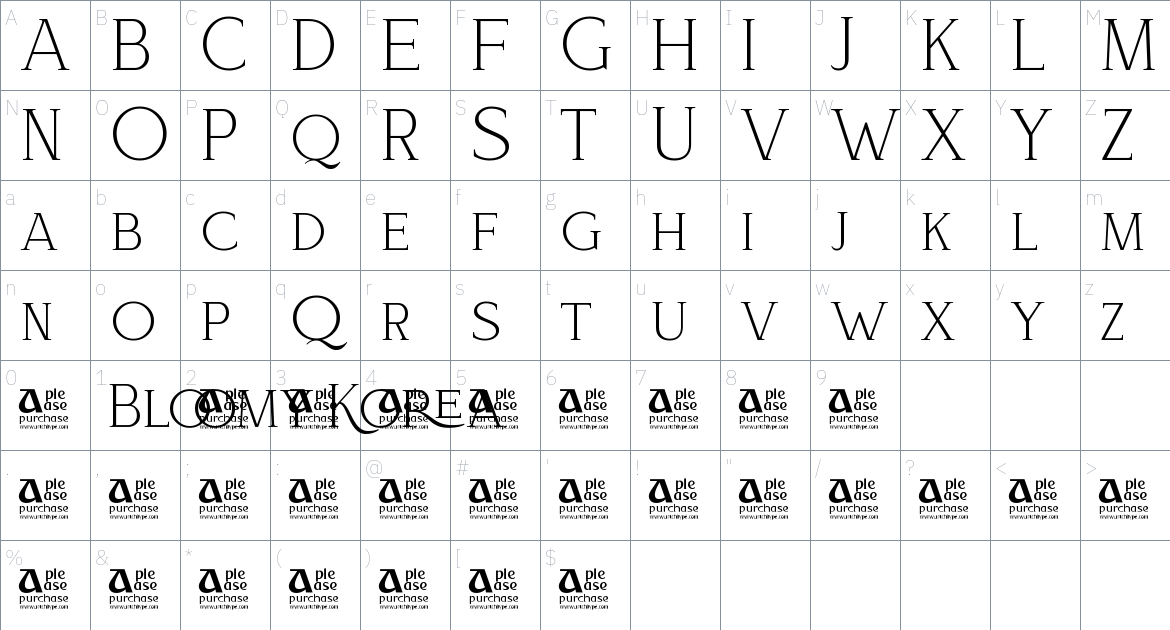 Bloomy Korea font Character Map